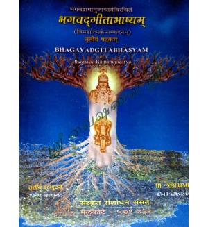 Bhagavad Gita Bhasyam 3 vols